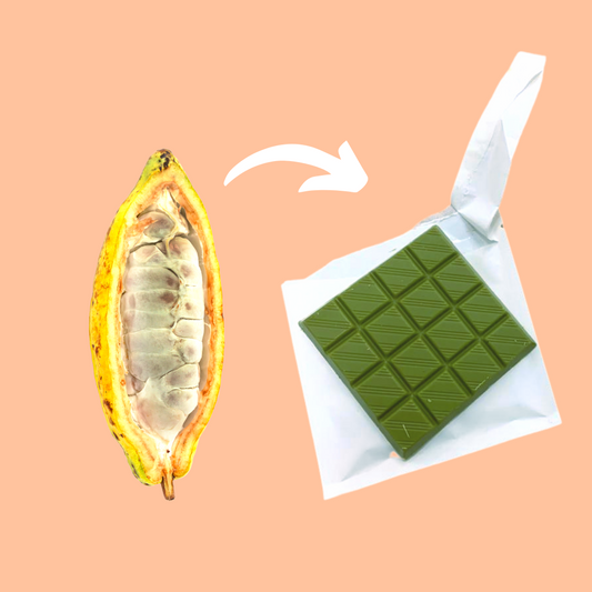 From Bean to Bar: Meet our Matcha Chocolate!