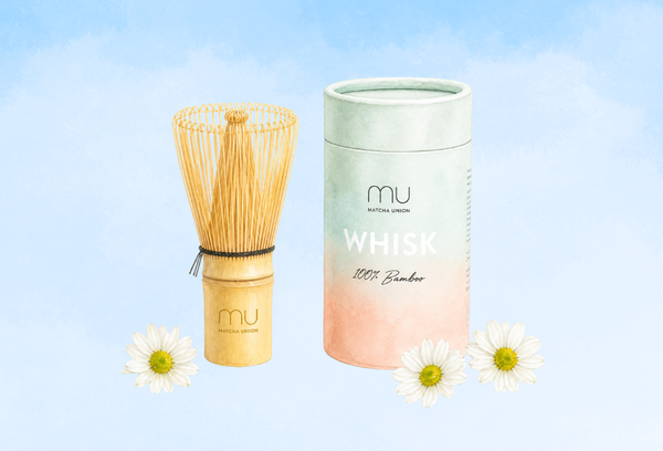 Matcha Whisk 101: Everything you need to know